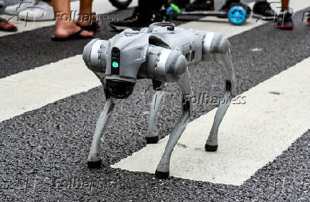 Cão robô da GCM na Av. Paulista