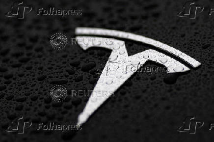 FILE PHOTO: The logo of Tesla is seen on a Tesla car in Brussels