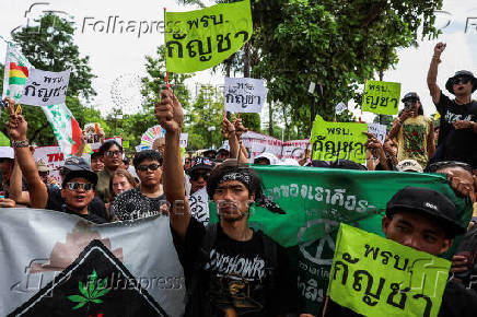 Activists of Writing Thailand?s Cannabis Future attend a protest to call for a responsible and well-regulated approach to cannabis and the urgent passage of an act, in Nonthaburi province