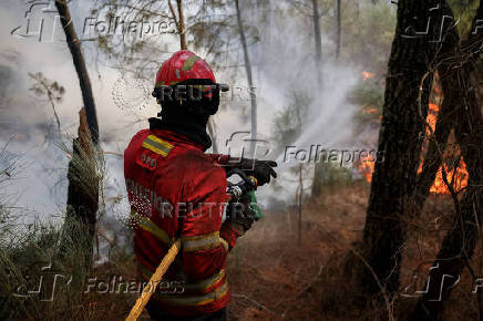 Wildfire in Portugal