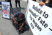 PETA offers 10 MYR (Malaysia Ringgit) or 02 Euro to be caged like an animal for one minute in launch of worldwide campaign in Kuala Lumpur