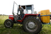 FILE PHOTO: Uruguay presidential candidate Mujica works on his farm after casting his vote during the Uruguayan National elections