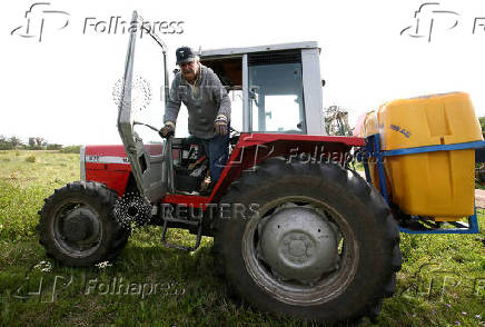FILE PHOTO: Uruguay presidential candidate Mujica works on his farm after casting his vote during the Uruguayan National elections