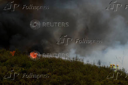 Wildfire on the outskirts of Abejera