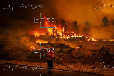 Portugal fights wildfires