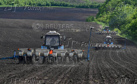 Farmers sow sunflower in Rostov region