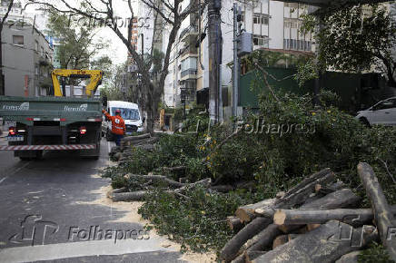 Queda de árvore no Jardim Paulista