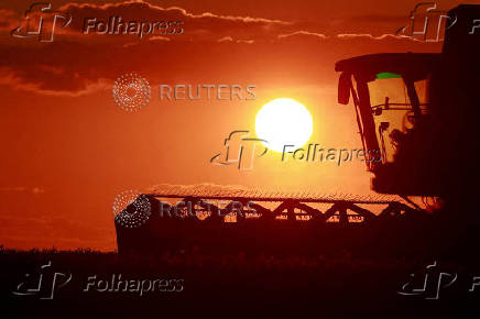 FILE PHOTO: A French farmer harvests wheat in his field during sunset