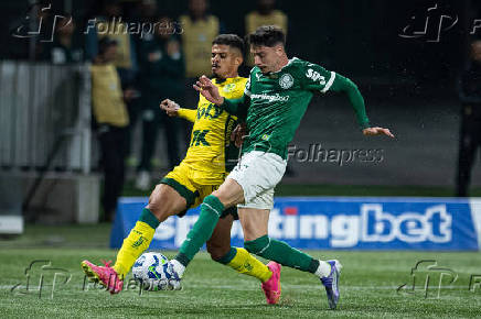 Partida entre palmeiras e mirassol pelo brasileirão de futebol