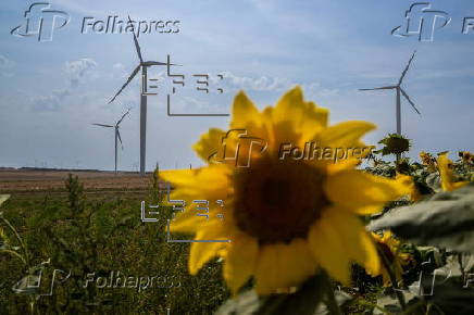 Wind farm in Fontaine-Macon
