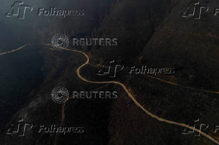 Wildfire in Delvina