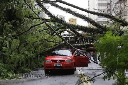 Árvore cai sobre carro no Jabaquara, na zona sul de SP