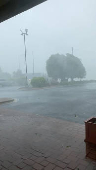 A tree sways amidst strong gusts of wind and rain, in Springfield, Missouri