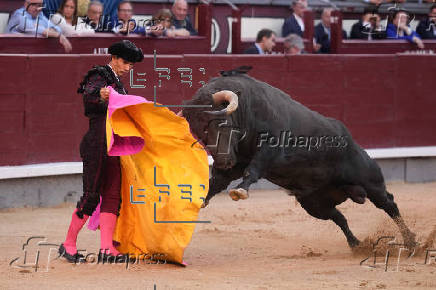 FERIA DE SAN ISIDRO