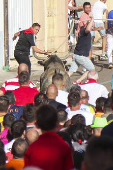 FIESTAS DEL TORO ENMAROMADO DE BENAVENTE