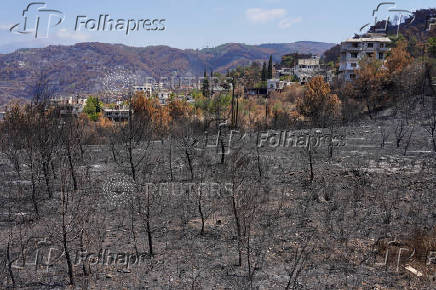 Aftermath of wildfires in Latakia countryside