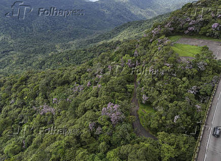 Vista aérea da Mata Atlântica no Parque Estadual da Serra do Mar