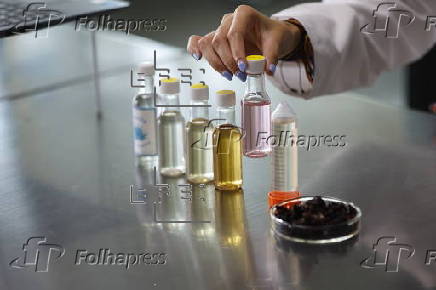 Tequila rosado con jamaica: la innovación mexicana que da vuelta al mundo