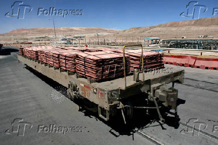 FILE PHOTO: Sheets of copper cathode are pictured at BHP Billiton's Escondida, the world's biggest copper mine, in Antofagasta