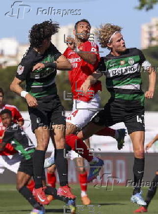 Portuguese Cup Final - Benfica vs Sporting