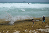 Sargassum seaweed season in Cancun