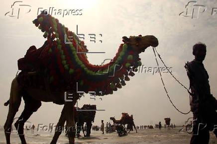Heatwave continues to grip Pakistan with soaring temperatures