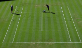Wimbledon
