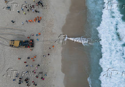 Filhote de baleia Jubarte morto, encalha na praia de São Conrado, no Rio de Janeiro