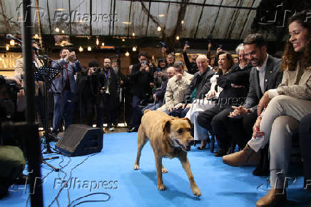 Abertura oficial do 53º Festival de Cinema em Gramado (RS)