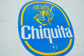 Chiquita Panama announces mass firing of banana workers after strike, in Changuinola