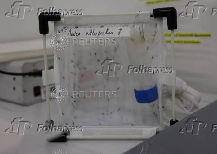 A view of inside the International Atomic Energy Agency (IAEA) laboratories in Seibersdorf