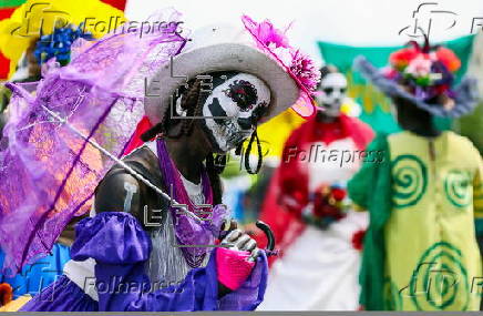 Carnival of Cultures parade in Berlin