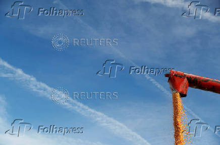 FILE PHOTO: Corn is loaded into a truck to be transported for ethanol production in Kelley, Iowa