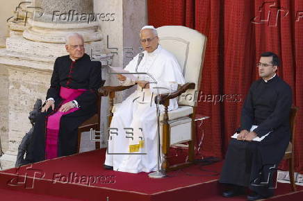 Pope Leo XIV attends audience in the Vatican
