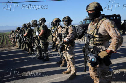 U.S. federal agents and immigration officers raid an agricultural facility in Camarillo