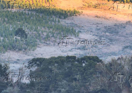 Geada cobre os campos na cidade de São Joaquim (SC)