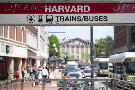Harvard University Campus in Cambridge Massachusetts