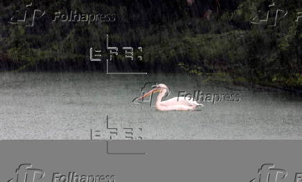 Monsoon rain in Delhi Zoo