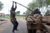 Timber exploitation in Nigeria's Kwara State