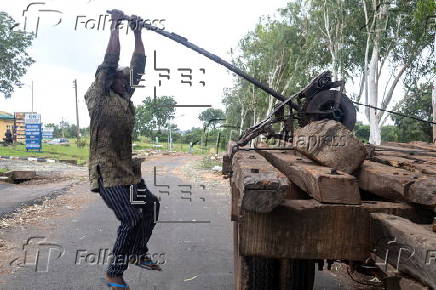 Timber exploitation in Nigeria's Kwara State