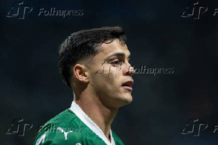 Partida entre palmeiras e mirassol pelo brasileirão de futebol