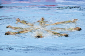World Aquatics Championships Singapore 2025 - Day 14