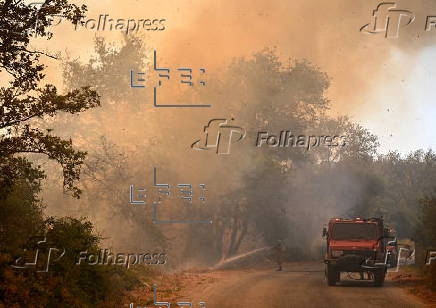 Wildfire in Greece's Peloponnese region