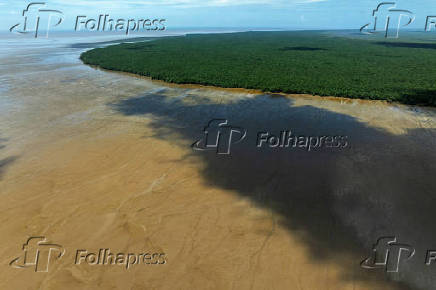Parque Nacional do Cabo Orange durante a maré baixa