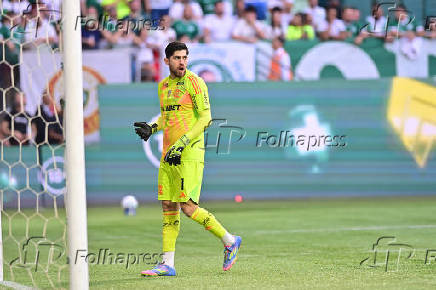 Partida entre PALMEIRAS X FLAMENGO pelo Campeonato Brasileiro