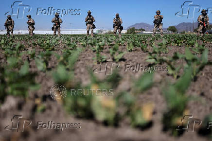 U.S. federal agents and immigration officers raid an agricultural facility in Camarillo