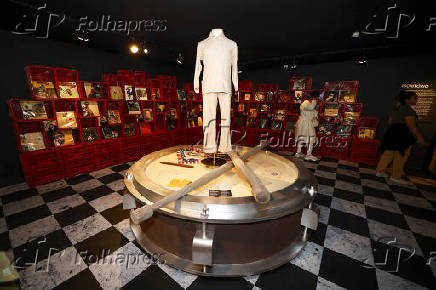 MIS-SP apresenta Baú do Raul, exposição que comemora os 80 anos do Maluco Beleza?
