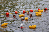 River Seine opens for public swimming at three sites in Paris