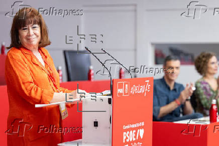 Comité Federal del PSOE