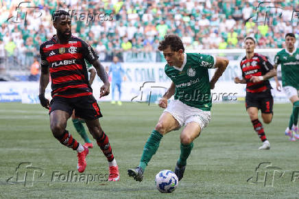 Palmeiras e Flamengo pelo Campeonato Brasileiro